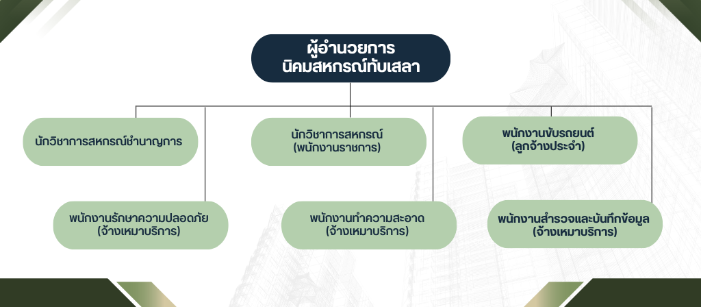 โครงสร้างและอัตรากำลัง2