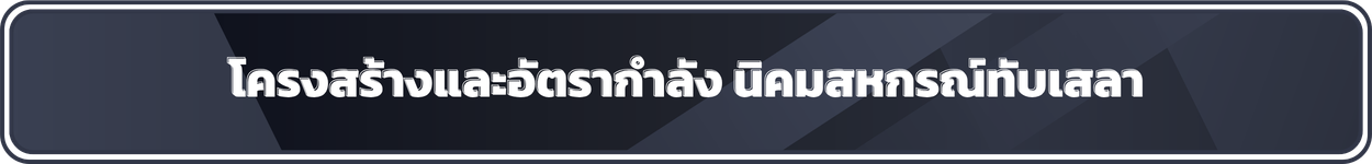 โครงสร้างและอัตรากำลังนิคมสหกรณ์ทับเสลา1250 x 150 px
