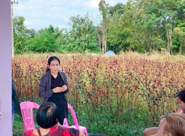 ร่วมเป็นวิทยากรฝึกอบรมโครงการระบบส่งเสริมเกษตรแบบแปลงใหญ่ พารามิเตอร์รูปภาพ 2