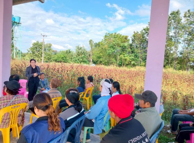 ร่วมเป็นวิทยากรฝึกอบรมโครงการระบบส่งเสริมเกษตรแบบแปลงใหญ่ พารามิเตอร์รูปภาพ 5
