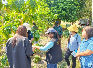 ✨ ติดตาม แนะนำ ส่งเสริม ✨ &quot; สหกรณ์การเกษตรห้วยคต จำกัด &quot; พารามิเตอร์รูปภาพ 10