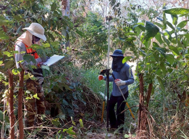 นิคมสหกรณ์ทับเสลา เดินหน้าสำรวจพิกัดวงรอบกันเขต ... พารามิเตอร์รูปภาพ 11