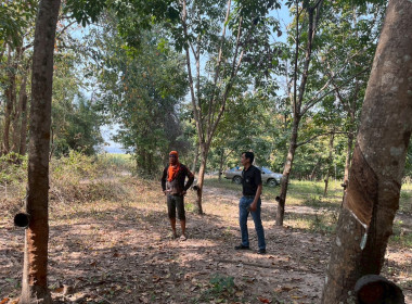 นิคมสหกรณ์ทับเสลา เดินหน้าสำรวจพิกัดวงรอบกันเขต ... พารามิเตอร์รูปภาพ 13