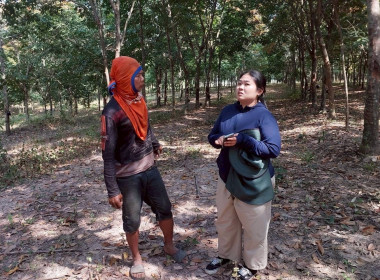 นิคมสหกรณ์ทับเสลา เดินหน้าสำรวจพิกัดวงรอบกันเขต ... พารามิเตอร์รูปภาพ 12