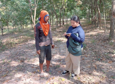 นิคมสหกรณ์ทับเสลา เดินหน้าสำรวจพิกัดวงรอบกันเขต ... พารามิเตอร์รูปภาพ 11