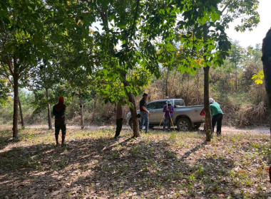 นิคมสหกรณ์ทับเสลา เดินหน้าสำรวจพิกัดวงรอบกันเขต ... พารามิเตอร์รูปภาพ 5