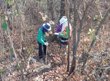 นิคมสหกรณ์ทับเสลา เดินหน้าสำรวจพิกัดวงรอบกันเขต ... พารามิเตอร์รูปภาพ 6