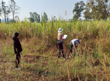 นิคมสหกรณ์ทับเสลา เดินหน้าสำรวจพิกัดวงรอบกันเขต ... พารามิเตอร์รูปภาพ 2