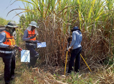 นิคมสหกรณ์ทับเสลา เดินหน้าสำรวจพิกัดวงรอบกันเขต ... พารามิเตอร์รูปภาพ 6