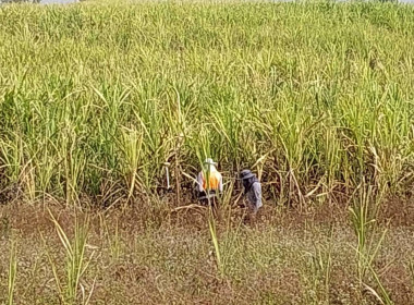 นิคมสหกรณ์ทับเสลา เดินหน้าสำรวจพิกัดวงรอบกันเขต ... พารามิเตอร์รูปภาพ 9