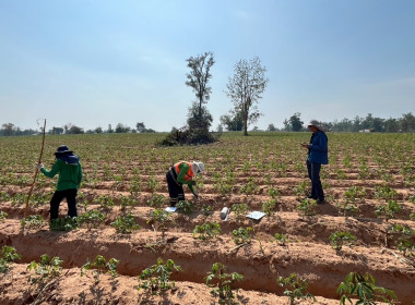 นิคมสหกรณ์ทับเสลา เดินหน้าสำรวจพิกัดวงรอบกันเขต ... พารามิเตอร์รูปภาพ 11