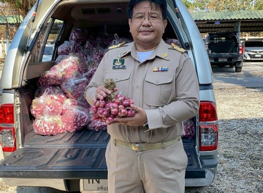 เครือข่ายสหกรณ์/กลุ่มเกษตรกร หน่วยงานภาครัฐ ... พารามิเตอร์รูปภาพ 2