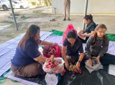 เครือข่ายสหกรณ์/กลุ่มเกษตรกร หน่วยงานภาครัฐ ... พารามิเตอร์รูปภาพ 19