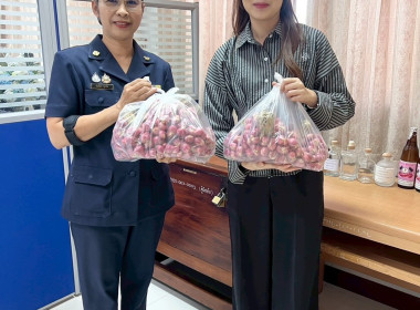 เครือข่ายสหกรณ์/กลุ่มเกษตรกร หน่วยงานภาครัฐ ... พารามิเตอร์รูปภาพ 7