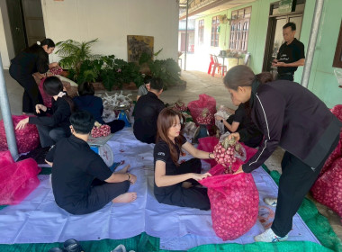 เครือข่ายสหกรณ์/กลุ่มเกษตรกร หน่วยงานภาครัฐ ... พารามิเตอร์รูปภาพ 16