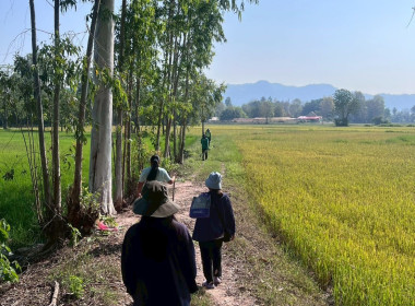 นิคมสหกรณ์ทับเสลา ... พารามิเตอร์รูปภาพ 14