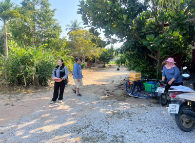 นิคมสหกรณ์ทับเสลา ... พารามิเตอร์รูปภาพ 8