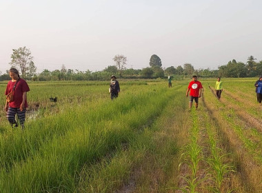 นิคมสหกรณ์ทับเสลา ... พารามิเตอร์รูปภาพ 9