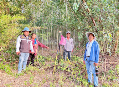 🎯 นิคมสหกรณ์ทับเสลา ... พารามิเตอร์รูปภาพ 5