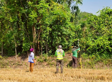 🎯 นิคมสหกรณ์ทับเสลา ... พารามิเตอร์รูปภาพ 8