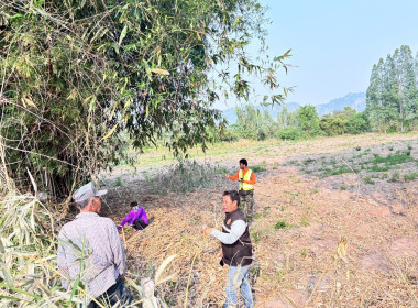 🎯 นิคมสหกรณ์ทับเสลา ... พารามิเตอร์รูปภาพ 9