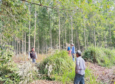 🎯 นิคมสหกรณ์ทับเสลา ... พารามิเตอร์รูปภาพ 10