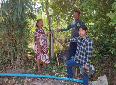 🎯 นิคมสหกรณ์ทับเสลา ... พารามิเตอร์รูปภาพ 11