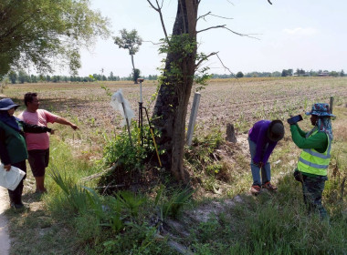 นิคมสหกรณ์ทับเสลา ... พารามิเตอร์รูปภาพ 11