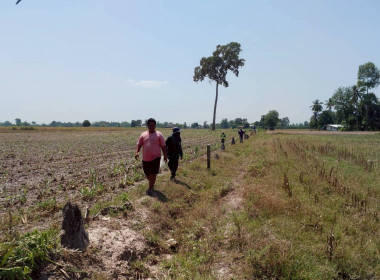 นิคมสหกรณ์ทับเสลา ... พารามิเตอร์รูปภาพ 13