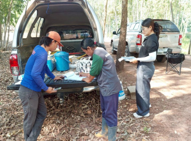 นิคมสหกรณ์ทับเสลา ... พารามิเตอร์รูปภาพ 5