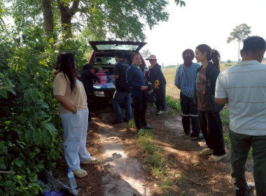 นิคมสหกรณ์ทับเสลา ... พารามิเตอร์รูปภาพ 6