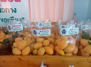 แนะนำ ตรวจเยี่ยม ... พารามิเตอร์รูปภาพ 8