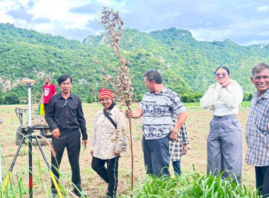 นิคมสหกรณ์ทับเสลา ... พารามิเตอร์รูปภาพ 6