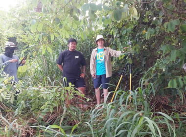 นิคมสหกรณ์ทับเสลา ... พารามิเตอร์รูปภาพ 12