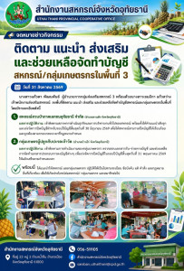 ติดตาม แนะนำ ส่งเสริม และช่วยเหลือจัดทำบัญชี ... พารามิเตอร์รูปภาพ 1