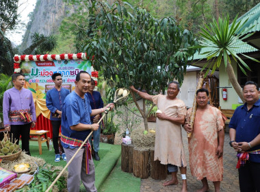 แถลงข่าวเตรียมจัดงาน “มะม่วงหลากชนิด มะยงชิดหวานอร่อย ... พารามิเตอร์รูปภาพ 14