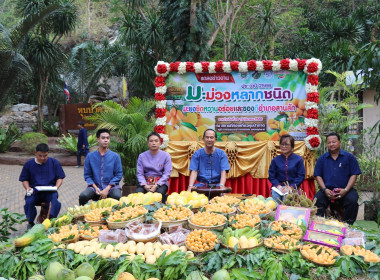 แถลงข่าวเตรียมจัดงาน “มะม่วงหลากชนิด มะยงชิดหวานอร่อย ... พารามิเตอร์รูปภาพ 10