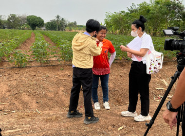 ผลสำเร็จการดำเนินโครงการปรับโครงสร้างการผลิต การรวบรวม ... พารามิเตอร์รูปภาพ 9