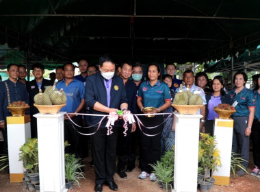 ร่วมกิจกรรมจุดรวบรวมและจำหน่ายไม้ผลอัตลักษณ์จังหวัดอุทัยธานี (ทุเรียน) ... พารามิเตอร์รูปภาพ 3