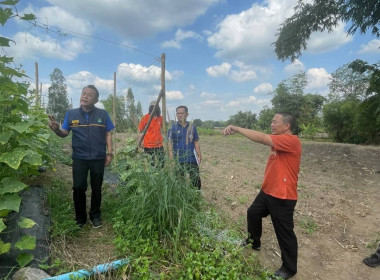 ออกตรวจเยี่ยมและติดตามพร้อมทั้งให้คำแนะนำวิธีปฏิบัติตามโครงการแก้ไขปัญหาหนี้สินและพัฒนาคุณภาพชีวิตสมาชิกสหกรณ์ ... พารามิเตอร์รูปภาพ 11