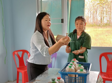 ส่งเสริมและพัฒนาอาชีพเกษตรกรเพื่อแก้ไขปัญหาที่ดินทำกินของเกษตรกรในจังหวัดอุทัยธานี ... พารามิเตอร์รูปภาพ 1