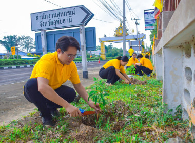 กิจกรรมวันต้นไม้ พารามิเตอร์รูปภาพ 10