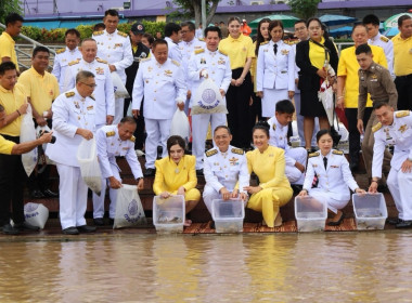 กิจกรรมเฉลิมพระเกียรติ พระบาทสมเด็จพระเจ้าอยู่หัว ... พารามิเตอร์รูปภาพ 15