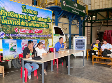 โครงการส่งเสริมการปลูกข้าวปลอดภัย โดยใช้ตลาดนำการผลิต ... พารามิเตอร์รูปภาพ 6