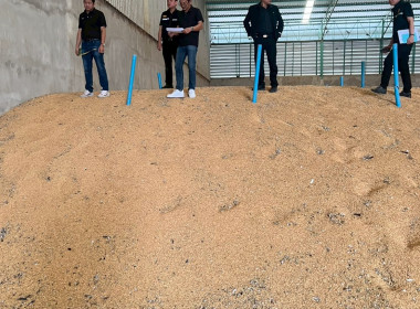 ตรวจสอบปริมาณข้าวเปลือกภายใต้โครงการสินเชื่อชะลอการขายข้าวเปลือกนาปี ปีการผลิต 2567/68 ... พารามิเตอร์รูปภาพ 12