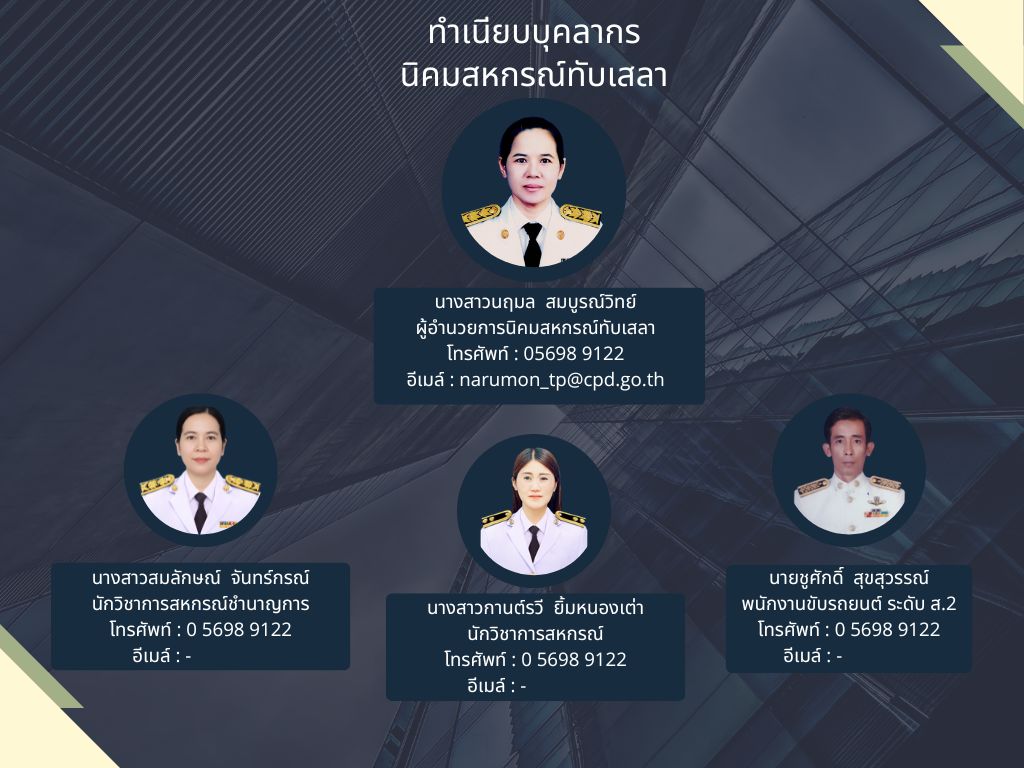 โครงสร้างและอัตรากำลัง_2.png